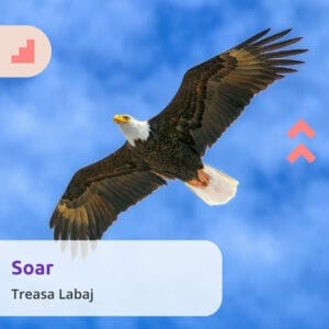 Treasa Labaj  Soar