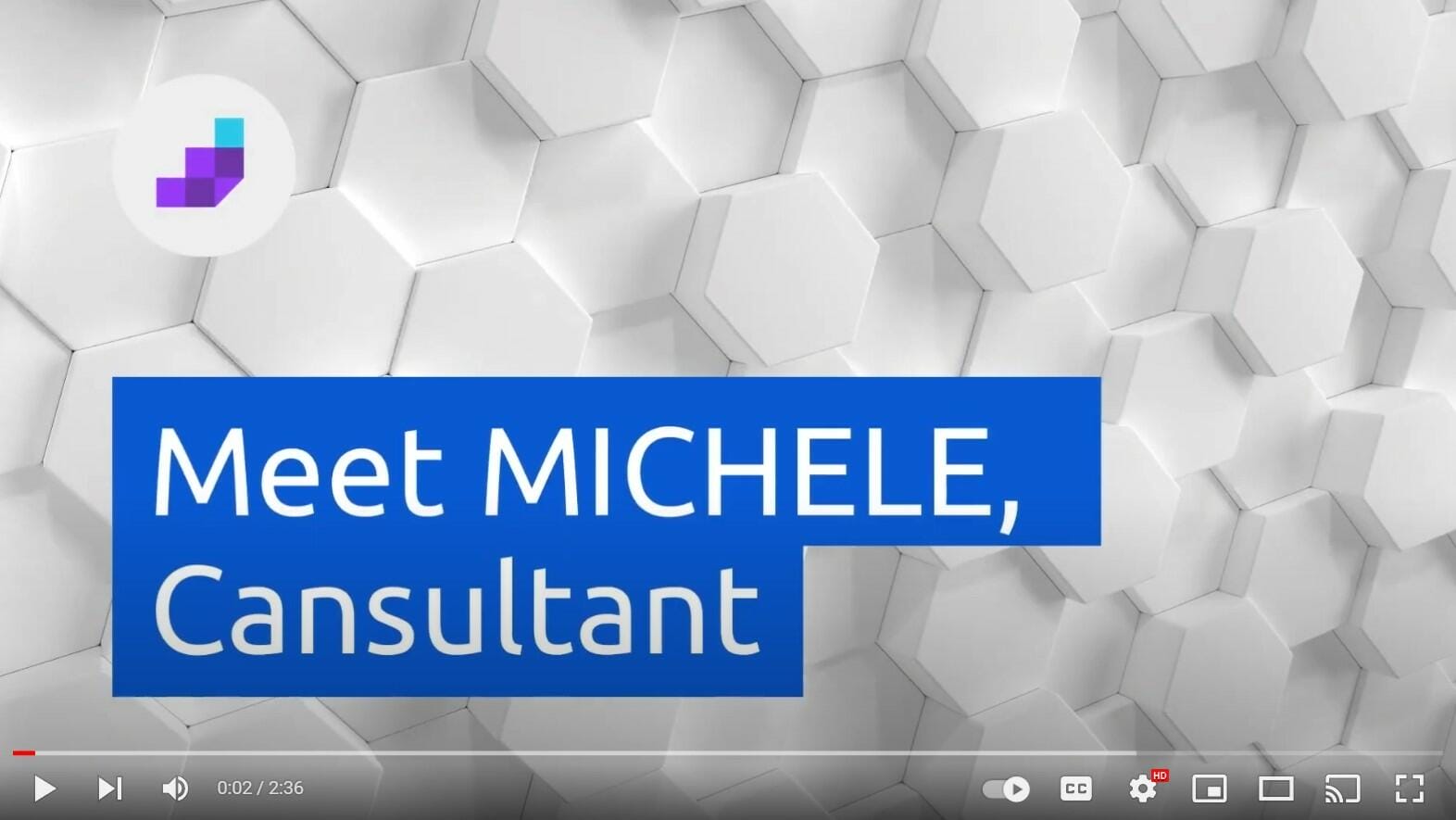 Introducing Michele D, CEO Advisory Consultant