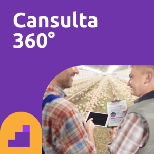 business 360 cansulta360