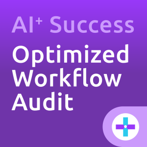 AI Success Optimized Workflow Audit